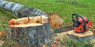 Best Tree Preservation Services  in Stratford, OK