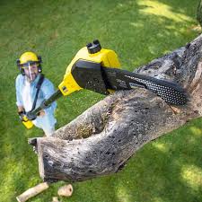 Best Weed Control  in Stratford, OK