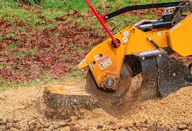 Best Organic Lawn Care Solutions  in Stratford, OK