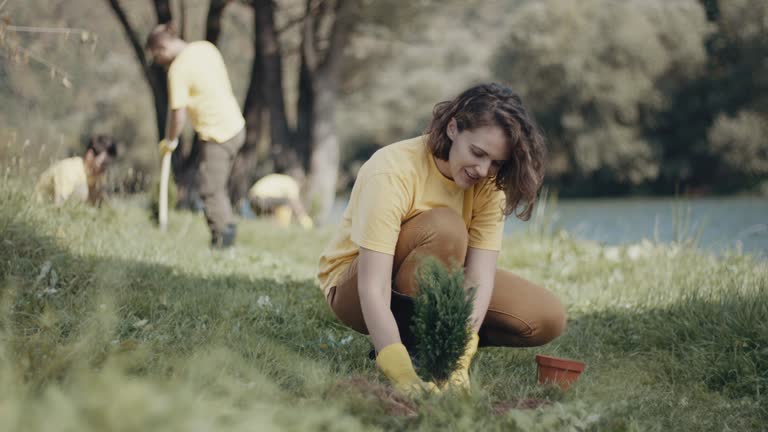 Best Lawn Drainage Solutions  in Stratford, OK