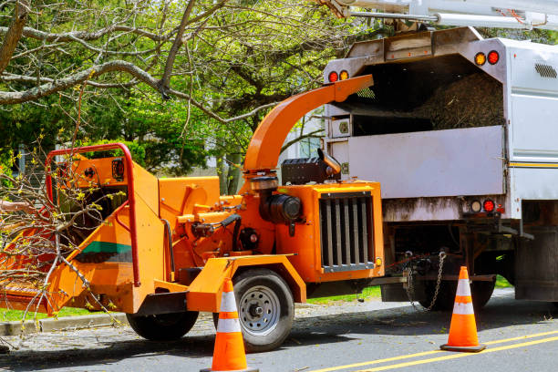 Best Tree Risk Assessment  in Stratford, OK