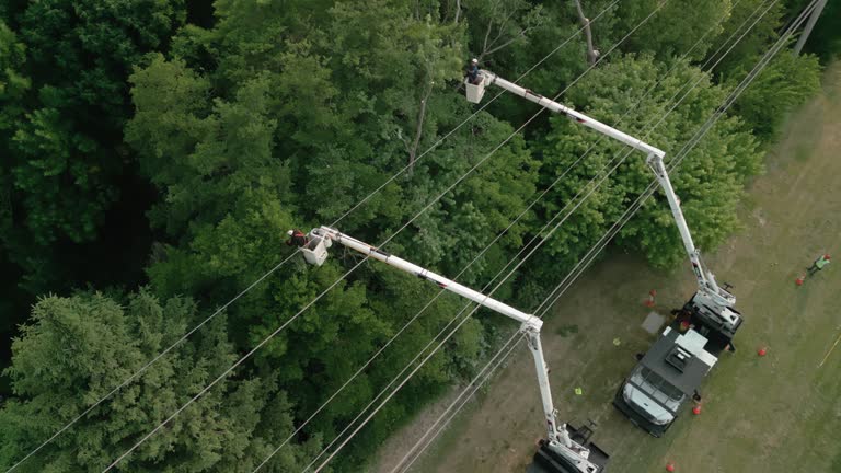 Best Storm Damage Tree Cleanup  in Stratford, OK