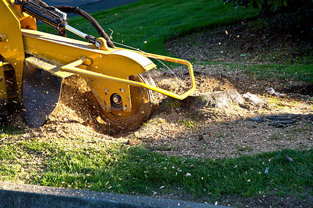 Landscape Design and Installation in Stratford, OK