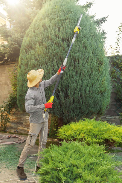 Best Artificial Turf Installation  in Stratford, OK